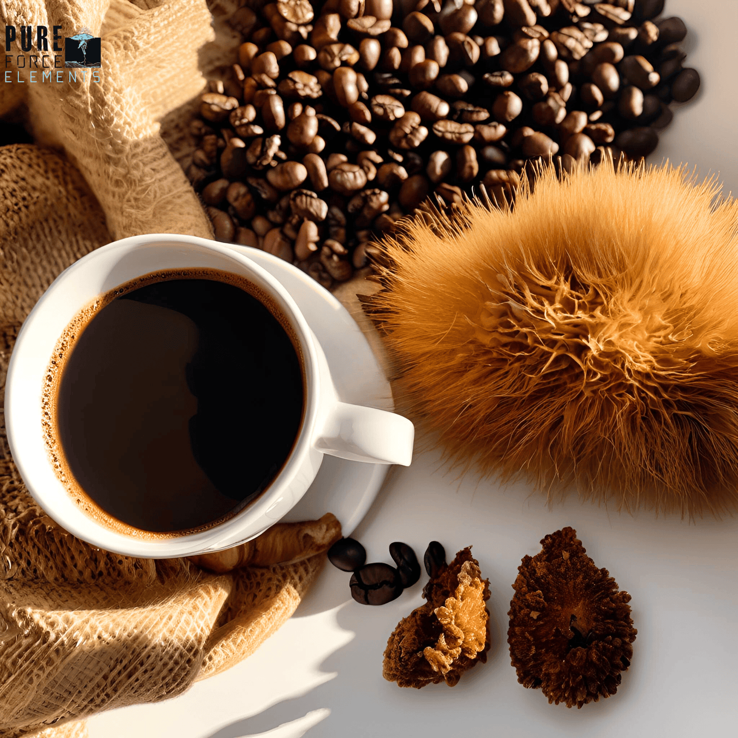 NeuroBoost Mushroom Coffee Fusion - Lion’s Mane & Chaga